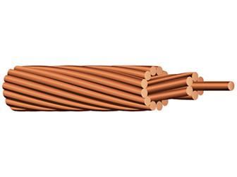 Bare Copper Wire ( Dây đồng trần)